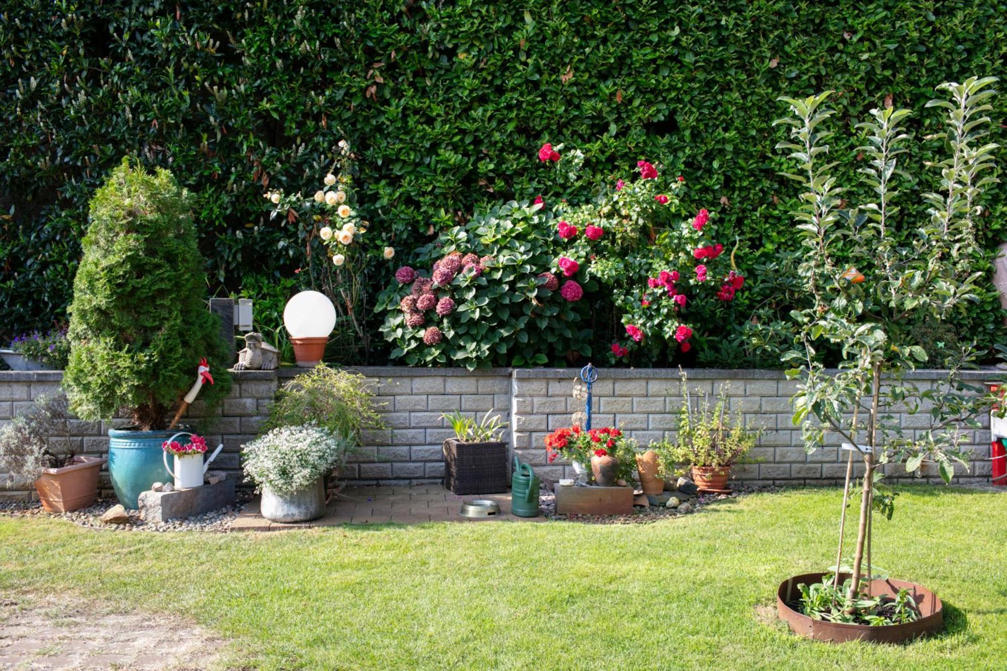 Ferienhaus Jasmin Neuruppin Ngoại thất bức ảnh